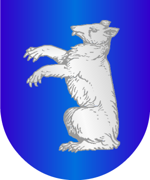 ESCUDO ALEATORIO